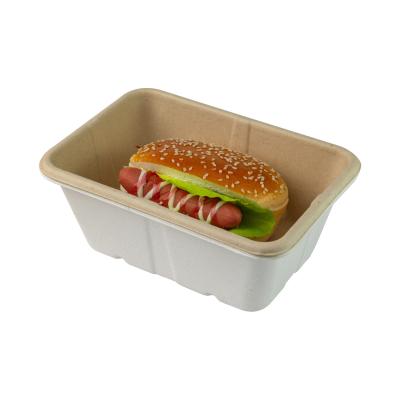 Os recipientes de alimento descartáveis da polpa levam embora o bagaço da cana-de-açúcar da lancheira biodegradável