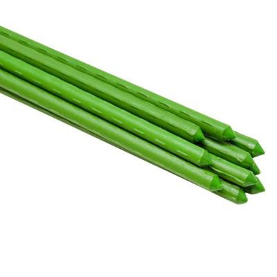2' 8.8mm Indoor Metal Climbing Garden Plant Support Sticks