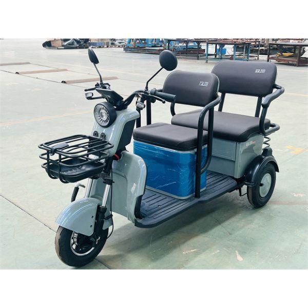 D18 Travel Leisure Electric Tricycle Three Wheel Electric Bicycles Electric Tricycle For 2 Adults
