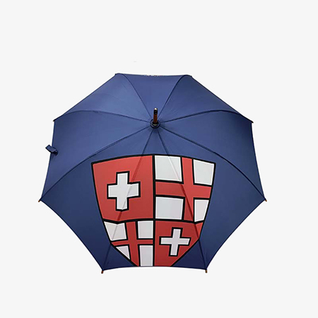 Custom Automatic Open Straight Umbrella For Loyola International School