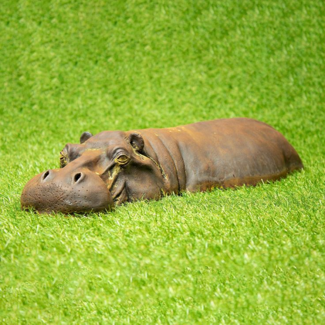 Life Size Bronze Deer Statue with Custom Animal Theme Figurine Cast Using Advanced Technique