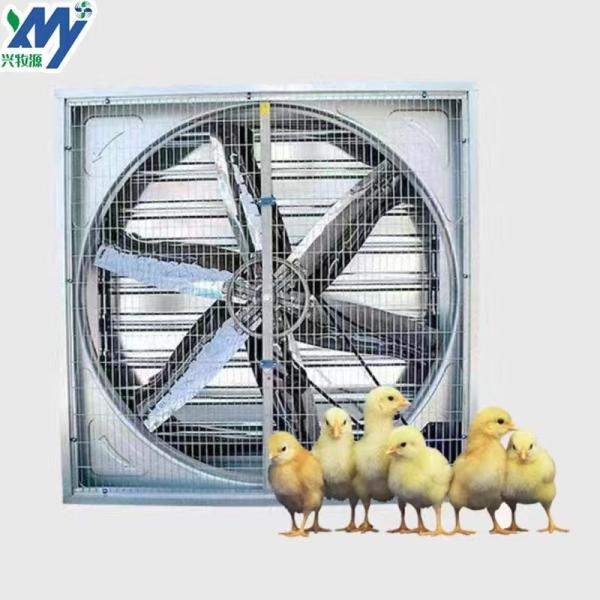 Big Blades Cooling Poultry Farm Exhaust Fan  Greenhouse Ventilation Fan Heavy Duty Wall Mounted Drop Hammer  Fan