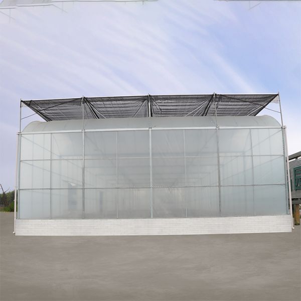 Agriculture Hydroponic System High Tunnel Greenhouse Uv Film Multi Span