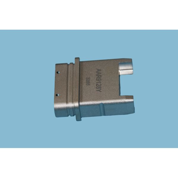 Золотая пальчатая раковина (большая)