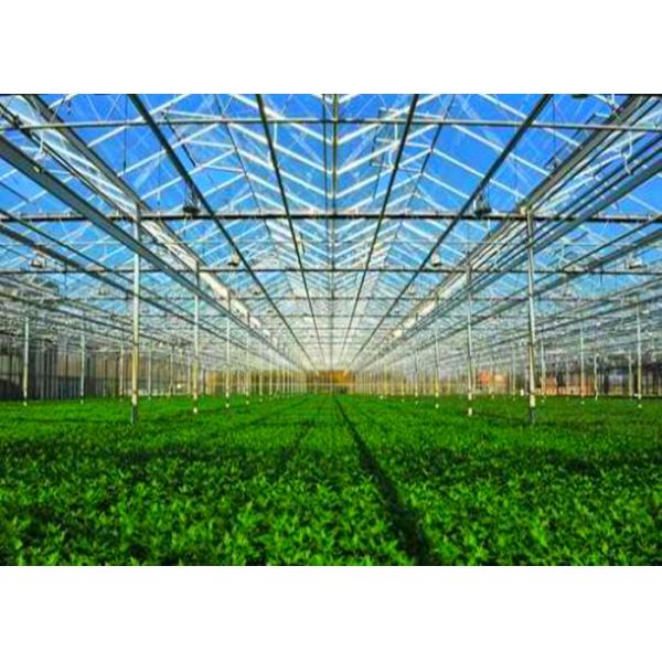 Environmental  Low Pressure Steam Boiler , Gas Steam Furnace For Greenhouse