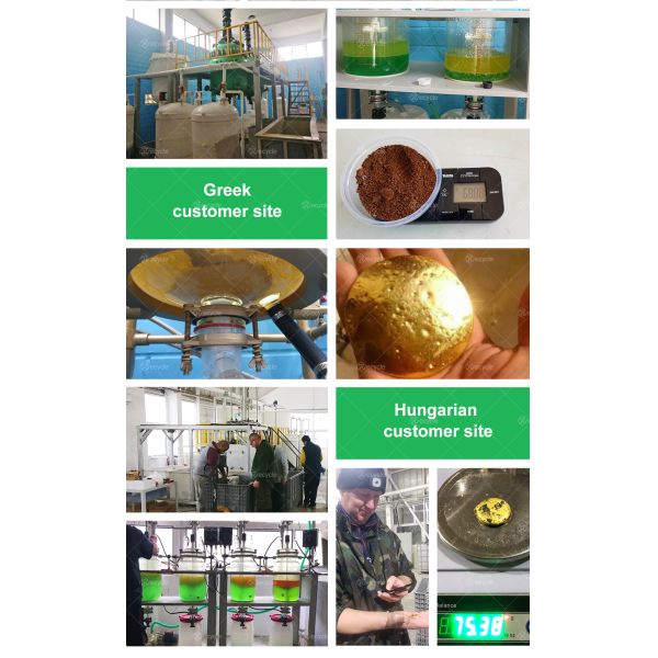 300tpd Gold Recovery Equipment Gold Processing Plant for Versatile Applications