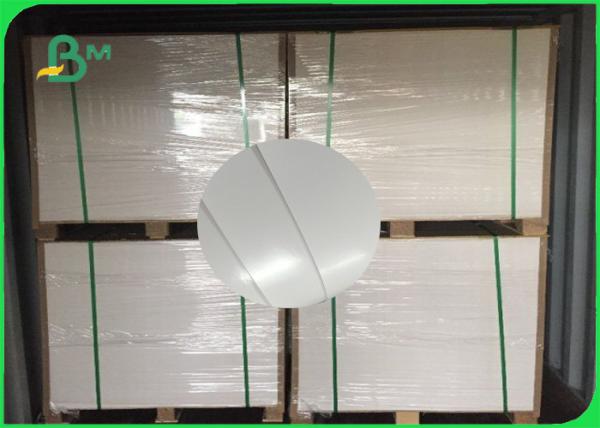 Papel do copo do processability 170gsm-300gsm da resistência alta da explosão bom no rolo