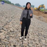Vente de murs de soutènement en gabions galvanisés