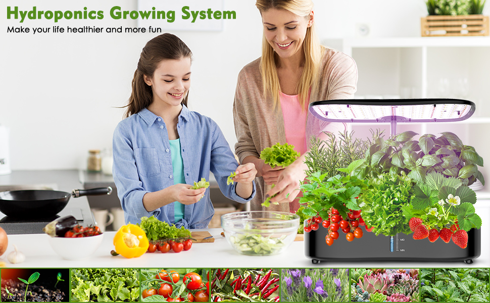 24 Watt Indoor Mini Garden Hydroponic Growing System 3 Mode 110-240VAC