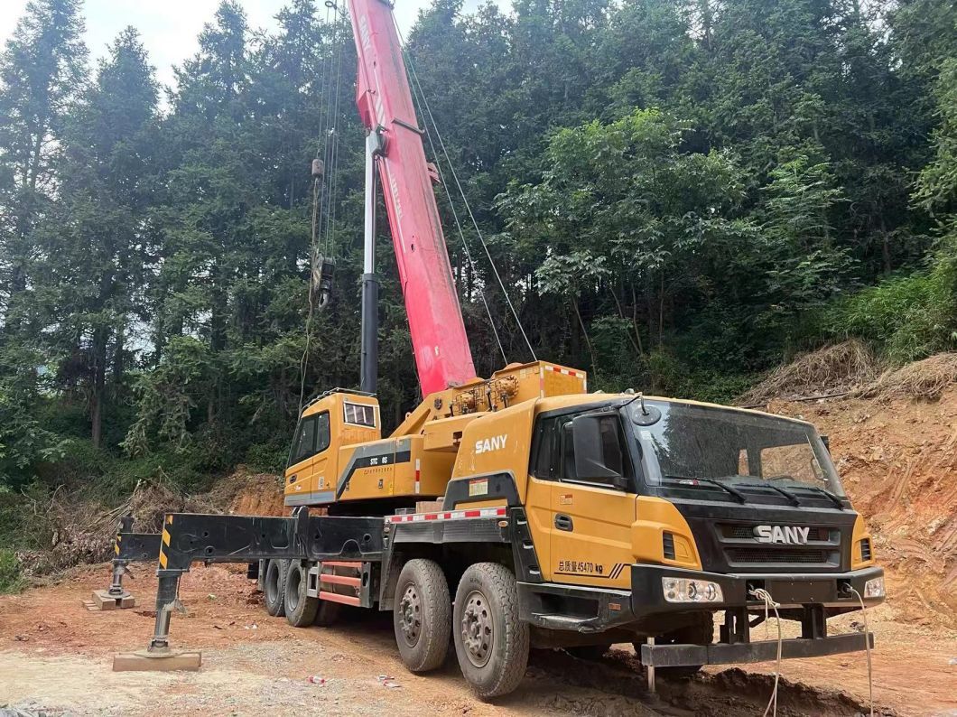 75t Truck Crane Mobile Crane Euro V Emission Standards Directly Sale for Products