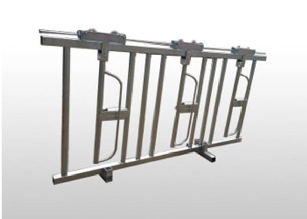 Superfície galvanizada do gado de leiteria do alimentador do Headlock do gado da construção equipamento resistente