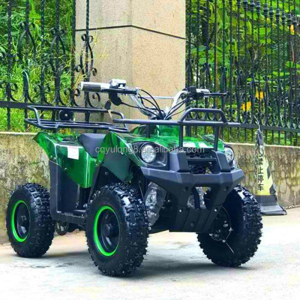 Electric ATV 800w Mini Quad Bike for Adults and Kids Small Off-Road Outdoor Sports Car