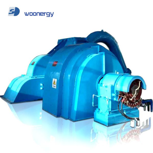 Генератор импульсной турбины IP54 Степень защиты 6-10 кВ Назначенное напряжение Отливное железо/нержавеющая сталь