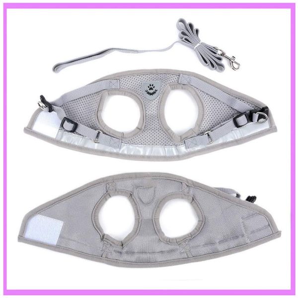 Кот доказательства избежания обуздывает проводку собаки и кошки всеобщую с набором поводка