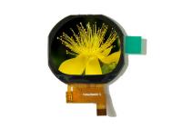 Affichage rond Resolustion 240 RVB * 204 de TFT LCD de 1,22 pouces pour le Smart Watch