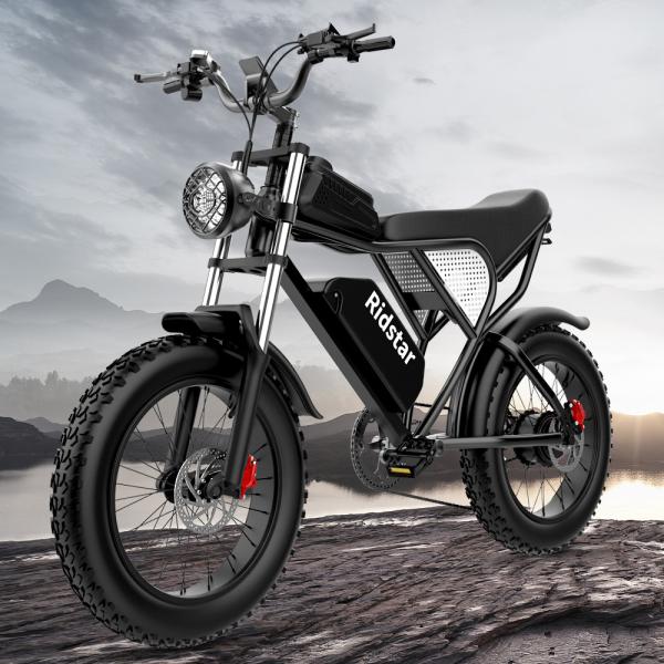 Off Road Fat Tire Electric Bike 1kw