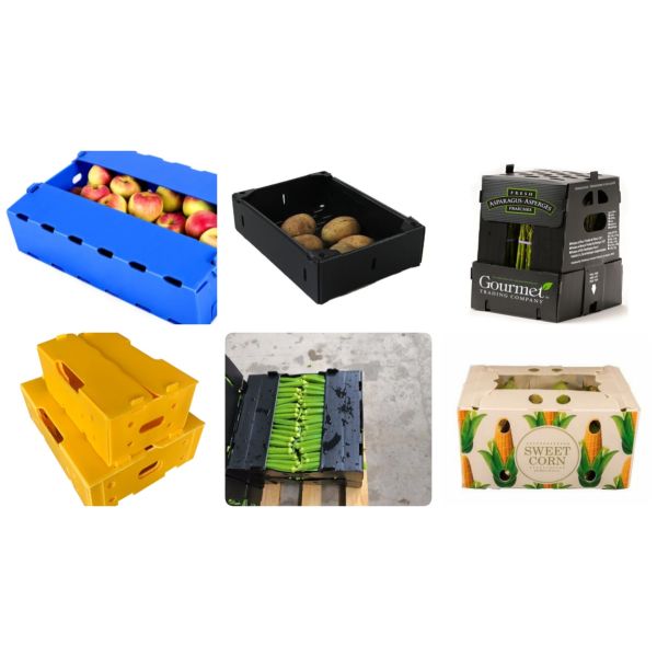 Custom Coroplast Packing Box for Fruits & Vegetables | Lightweight, Waterproof, Durable, Recyclable, Foldable, Stackable Plastic Crate | Custom Size Available