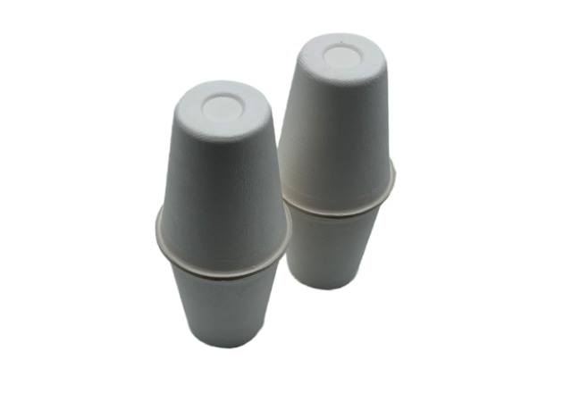 Чашки и крышки Eco дружелюбные 8oz 80×90mm Biodegradable