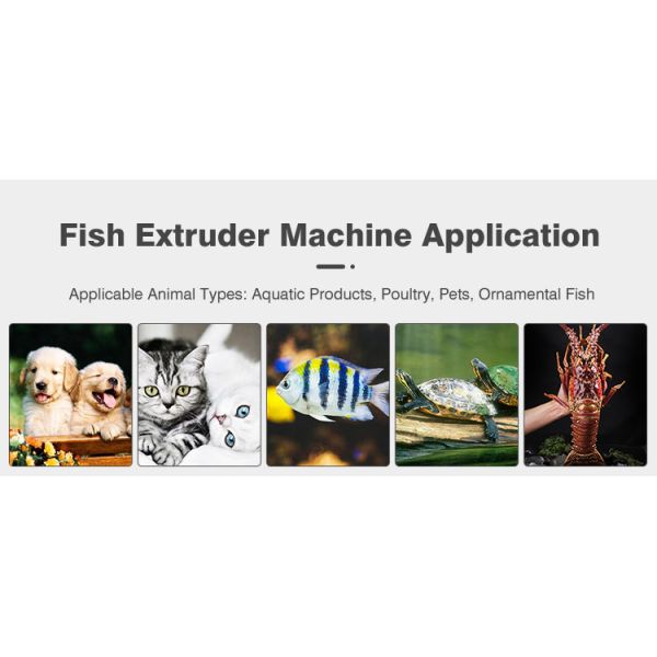 Tilapia Automatic High Quality Floating Fish Feed Machine Anime Rape Pellet Machine Capacity Floating Pellet Fish Feed Production Line Making Mixing Extruder Machine