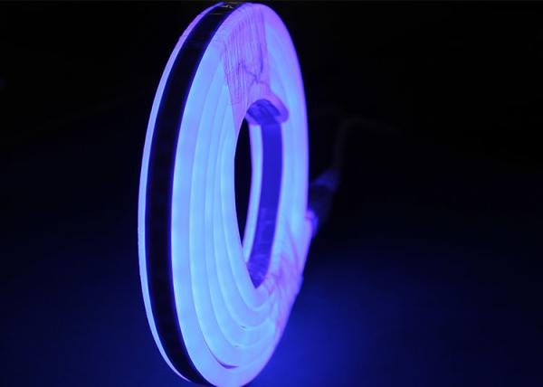 Double Sides Lighting LED Neon Flex Rope Light 12V Input LED Neon Rope Light waterproof Blue light