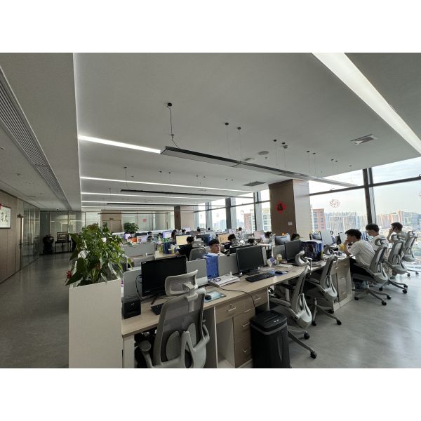 UDEL Chips Tech Co., Ltd.