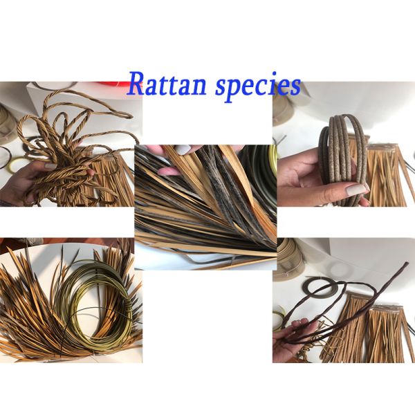 Plastic Imitation Wicker Rattan Line PP PE Rattan Making Machine
