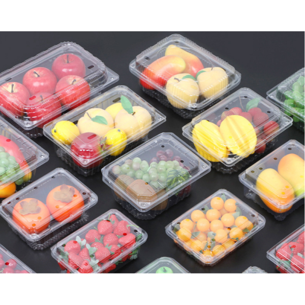 Biodegradable 18cm Food Grade PET Plastic Tray for Salad and Vegetable Packaging