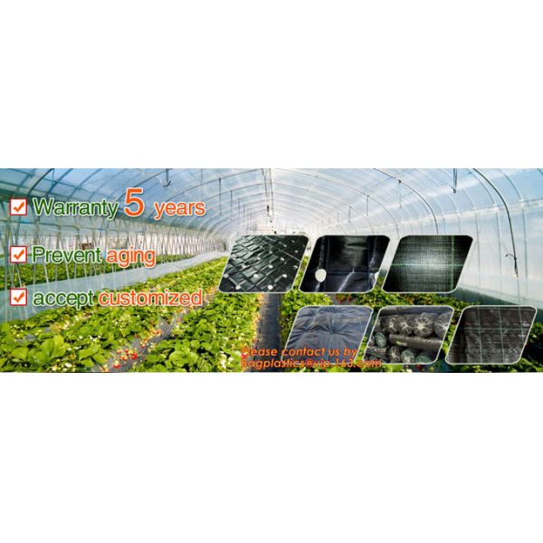 Garden tomato green house greenhouse film 3 layer eva agriculture clear plastic protective 90% transmission green house,