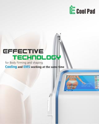 Máquina portátil de pouco peso da fisioterapia do EMS, máquina de Cryolipolysis da casa