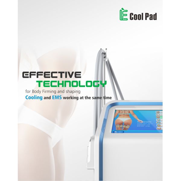 110V 60Hz Portable Fat Freezing Machine , Electrical Muscle Stimulation Equipment