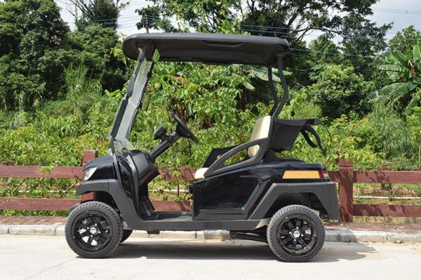 Convenient Electric Golf Buggy Italy Graziano Axle 12/1 Trojan Battery