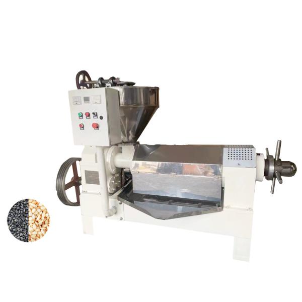 Industrial Cold Press Oil Extractor , Cold Press Oil Extraction Machine Multi Functional