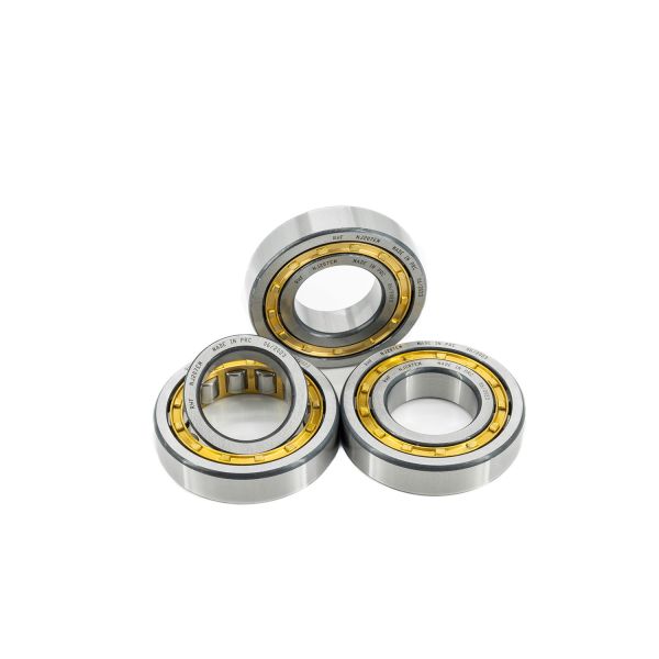 25*47*12mm NU1005EM NJ1005EM Cylindrical Roller Bearings within Structure cylindrical