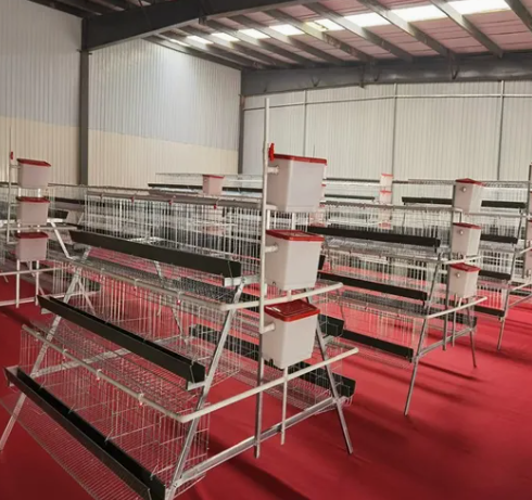 4 Tier H Type Fully Automatic Battery Layer Chicken Cage with Galvanized Steel Poultry Farming Equipment