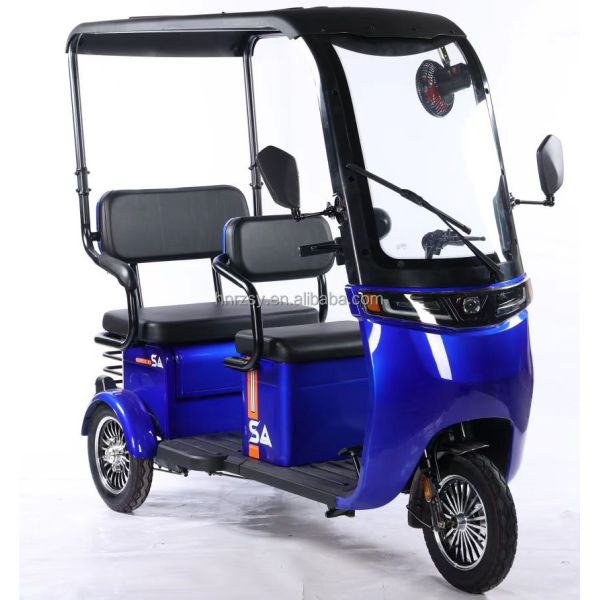 2024 Adult Cargo Electric Tricycle Motorcycle Bike Three Wheel Electric Tricycle 3 Wheel Single Gross Weight 75.000 kg