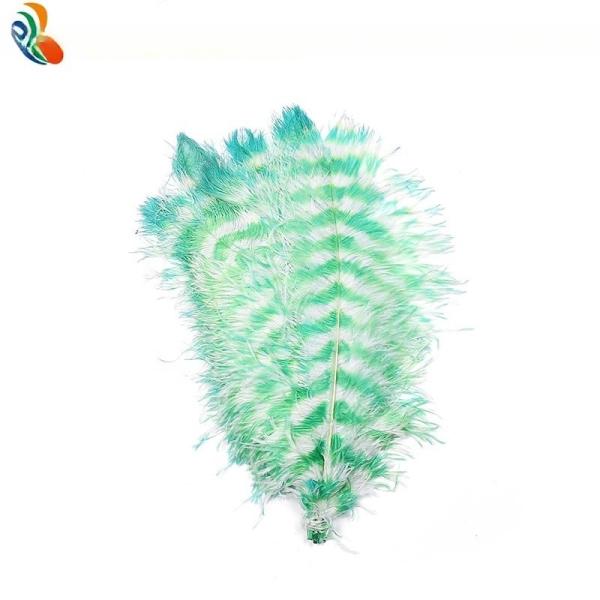 Dois tons Cor Pena de avestruz Plumes 50-55cm Tamanho para decoração