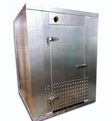 Caminhada de alumínio gravada estuque do restaurante na sala fria do refrigerador para o serviço de alimentação