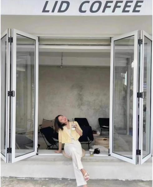 Hot Style Design Block Uv Rays Low E Glass Black Aluminum Commercial Bifold Folding Window Aluminum windows