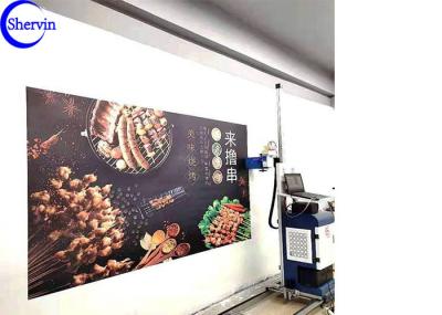 Estrutura SSV-S4 720x1440DPL do quadro direto para murar a impressora