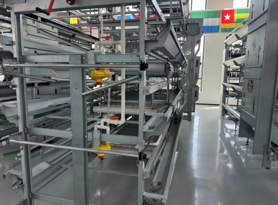 Corrosion Resistant Poultry Equipment with Adjustable Ventilation System for Automatic Feeding and Egg Collection