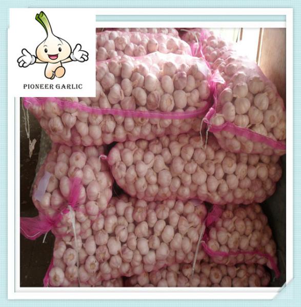 pure white garlic New crop fresh garlic for sale natural garlic