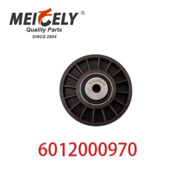 6012000970 9146139 Pièces détachées de moteur automobile