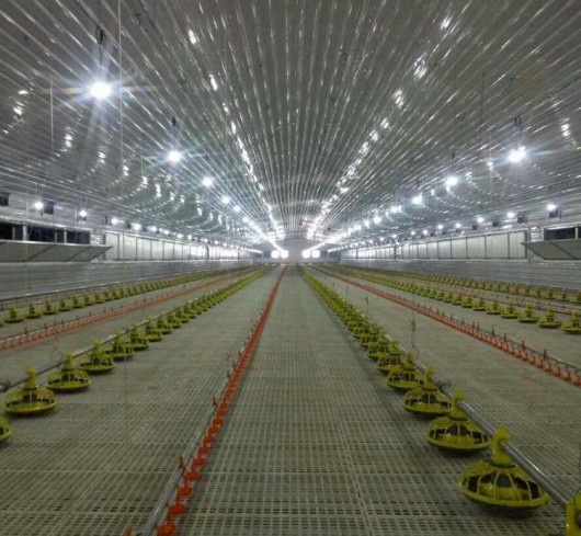 Prefabricated Steel Structure Chicken House / Poultry Farm House
