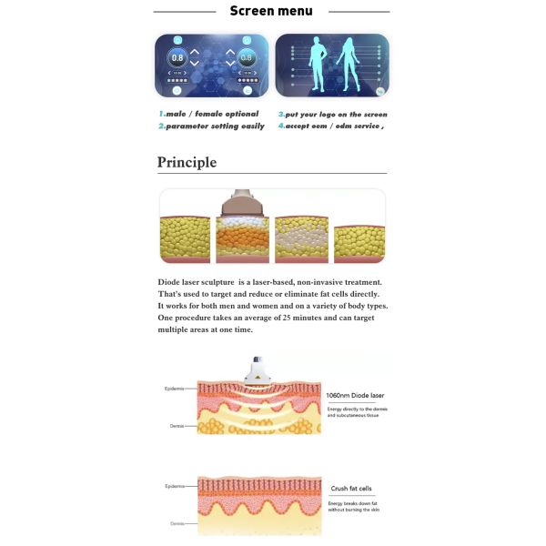 Салонные услуги с 1060Nm диодо лазерной скульптуры тела для похудения