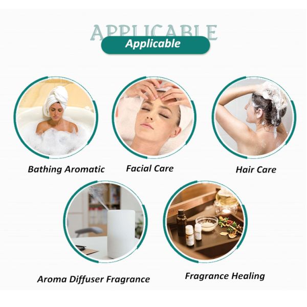 Wholesale 10ml Natural 100% Pure Essential Oil For Aroma Diffuser Body Facial Care SPA Fragrance Aromatherapy