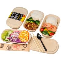 Recipiente de alimentos 100% compostável cana-de-açúcar lancheira caixas e recipientes de armazenamento de bambu ecologicamente correto multifuncional