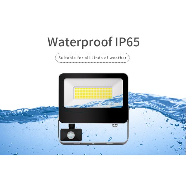 Прожектор безопасности IP65 водонепроницаемый горячая продажа светодиодный светодиод Алюминиевый корпус с датчиком движения для стены садовой улицы