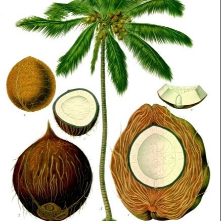 Waxy твердый эмульсор хлеба моностеарата GMS 95% глицерола порошка