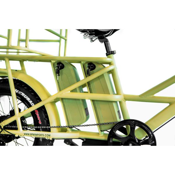 48V Disc Brake Dual Batteries Fat Snow Big Tire Electric Cargo Bicycles for Family 2