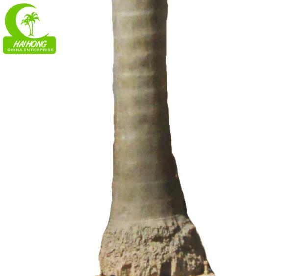 Royal 15m Artificial Coconut Palm Trees For Outdoor And Indoor